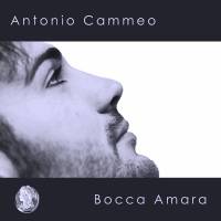 Antonio Cammeo