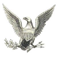 Kurikinton Eagle