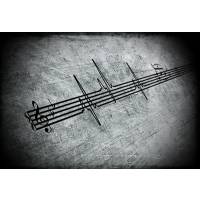 Nuovo Progetto Musicale Rock Italiano