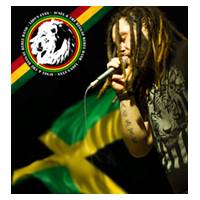 Acsel Lion
