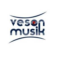 VesonMusik Studio Recording OFFERTA 1°