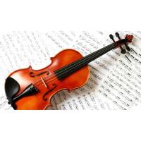 Lezioni di violino/viola