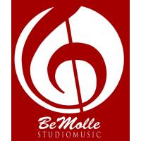 Bemolle Orchestra