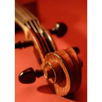 Lezioni di violino a Milano