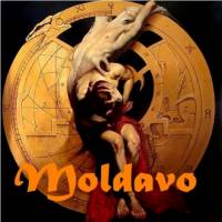Moldavo Live