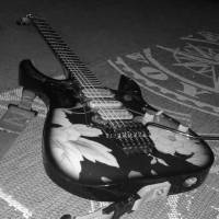 Lezioni chitarra acustica,elettrica rock/blues