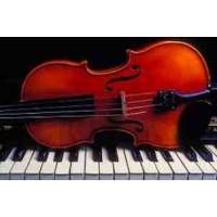 Lezioni di violino / pianoforte e formazione musicale