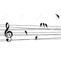 Lezioni Chitarra,Basso,Piano,Canto a Bacoli-Fusaro