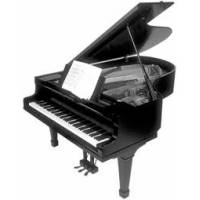 Lezioni di pianoforte e tastiera a Rozzano