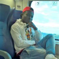 ashno officiel