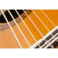 Stefano Guitar
