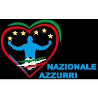 Nais Nazionale Italiana Artisti