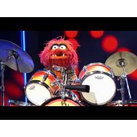 Steve Gadd