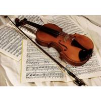 Lezioni private di violino e solfeggio e disponibilità per cerimonie