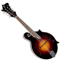 Mandolino Mandolin