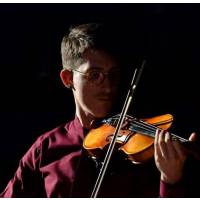 Lezioni violino,musica da camera,preparazioni esami