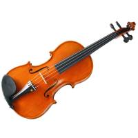 Lezioni violino