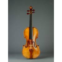 Violinista Torino