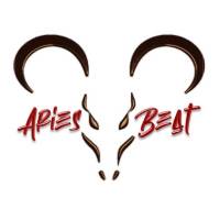 Aries Beat