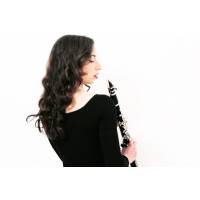 Lezioni di clarinetto e solfeggio