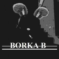 Borka B The Producer