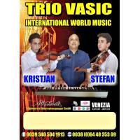 Trio Vasic