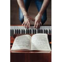 Pianista Varese