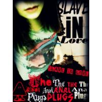 The Anal Plugs