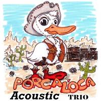 PORCA L'OCA acoustic trio