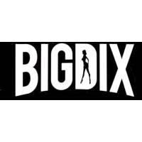 BigDix