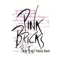 Pink Bricks