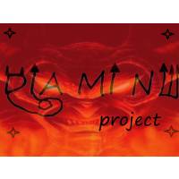 diamine project