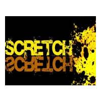 The Scretch