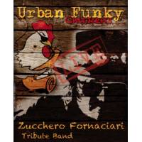 Urban Funky Chickens