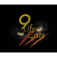 9 Life Cats