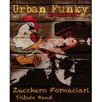 urbanfunkychickens