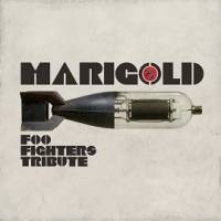 MARIGOLD - Tributo ai Foo Fighters
