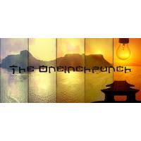 The Oneinchpunch