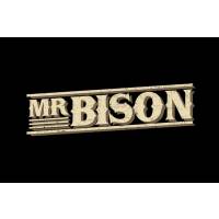 MR BISON