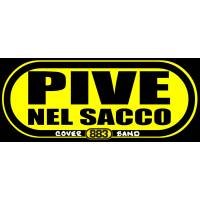 PIVE NEL SACCO - 883 cover band