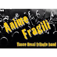 Anime Fragili Vasco Tribute Band