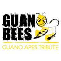 Guano Bees