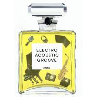 Electro Acoustic Groove