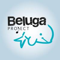 Beluga Project