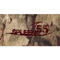 Spleen 55