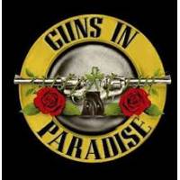 Guns in Paradise