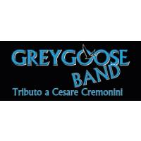 GreyGoose Band