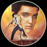 The Hound Dogs-Elvis Tribute
