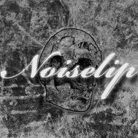 NoiseLip