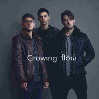 Growing flow